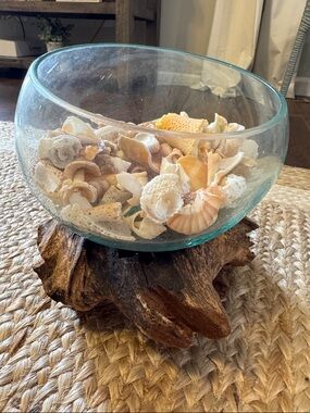 Glass Bowl on Driftwood Base with Natural Seashell Fill